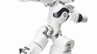 nao智能机器人(nao机器人的控制软件叫什么)