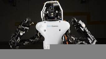 人形机器人ai(智能人形机器人)