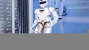 人形机器人智能(人形机器人智能化快速升级)