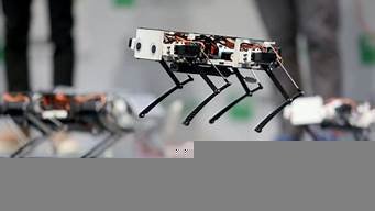 开源ai机器人(开源机器人初体验)