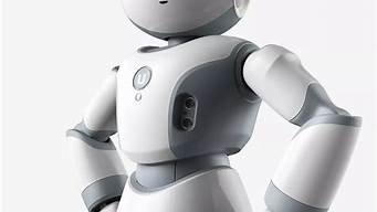 智能机器人机器人(智能机器人视频演示)