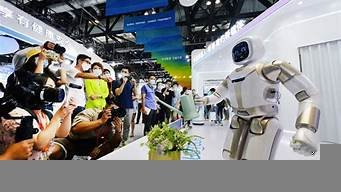 武汉人工智能机器人(武汉 人工智能)