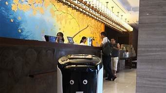 酒店ai机器人(酒店机器人有什么功能)